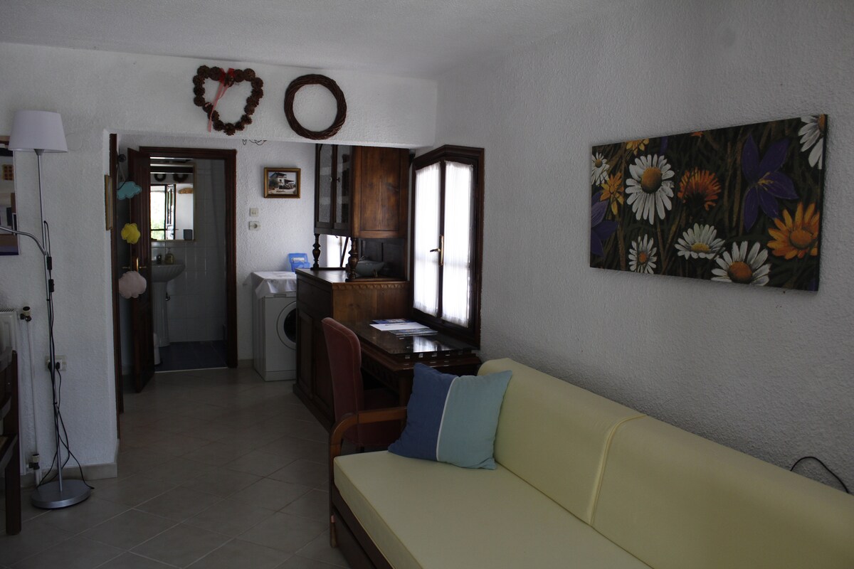 House in an olive grove, near the sea — снимка 2