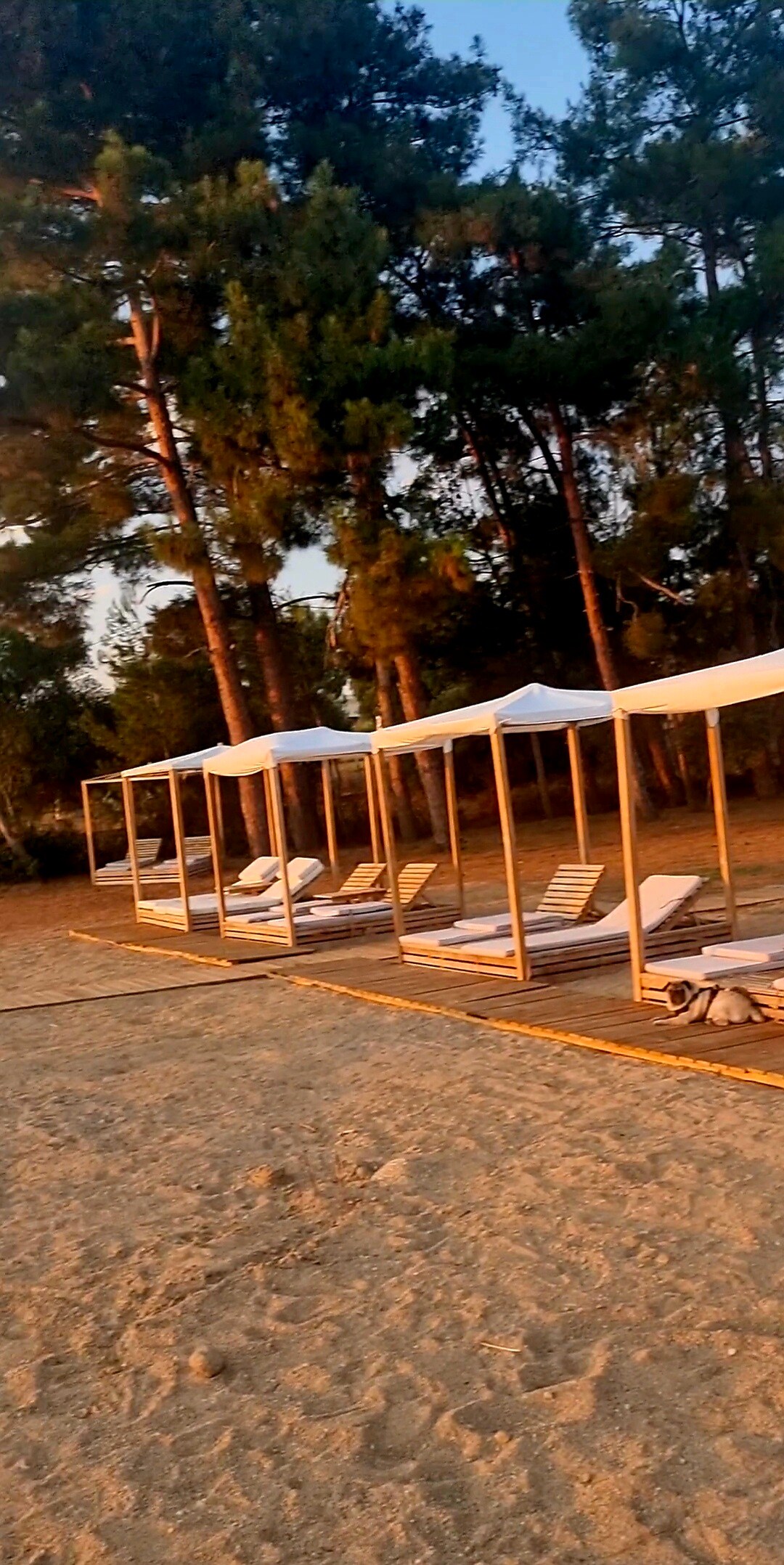 Sirena Villa on the Beach — снимка 3